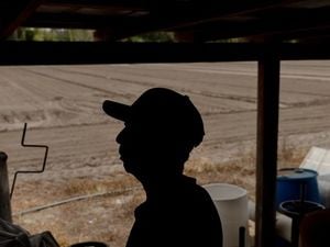 Farmers Across America Grapple With Tariffs And Labor Crisis