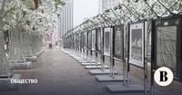На Москву обрушился сильный снегопад