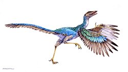 Ara Form Olarak Bilinen Archaeopteryx, Tam Bir Kuş Değil mi?