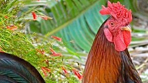 Üreme Organlarımız Hakkında 4 Şaşırtıcı Gerçek