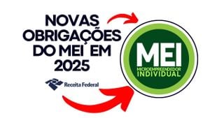 Essential Guide To Brazilian Income Tax For Microentrepreneurs 2025