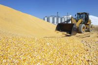 Record harvest, uneven exports poised to scramble grain storage and transportation logistics