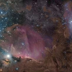 Orion in Gas, Dust, and Stars