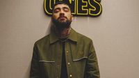 ¿Por qué Zayn Malik Canceló Concierto Hoy en Palacio de los Deportes de CDMX? Este es el Motivo