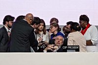 This year’s climate talks saw real progress – just not on fossil fuels