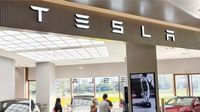 Tesla sales slump in Europe as backlash against Musk hits buyers