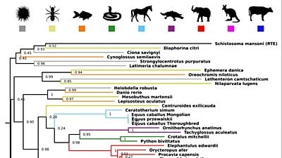 Türler Arası Gen Aktarımı, Evrimin İtici Güçlerinden Birisidir!