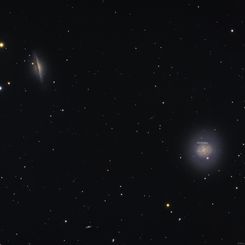  Cetus Galaxies and Supernova 