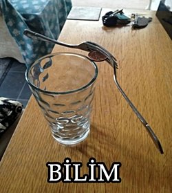 Bardağın kenarında duran madeni paranın üzerinde iki çatalı dengelemek nasıl mümkün olabiliyor?