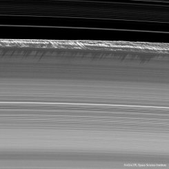  Propeller Shadows on Saturn's Rings 