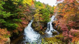 Japan Sees Unseasonable Spring Warmth, Avalanche Risks Rise