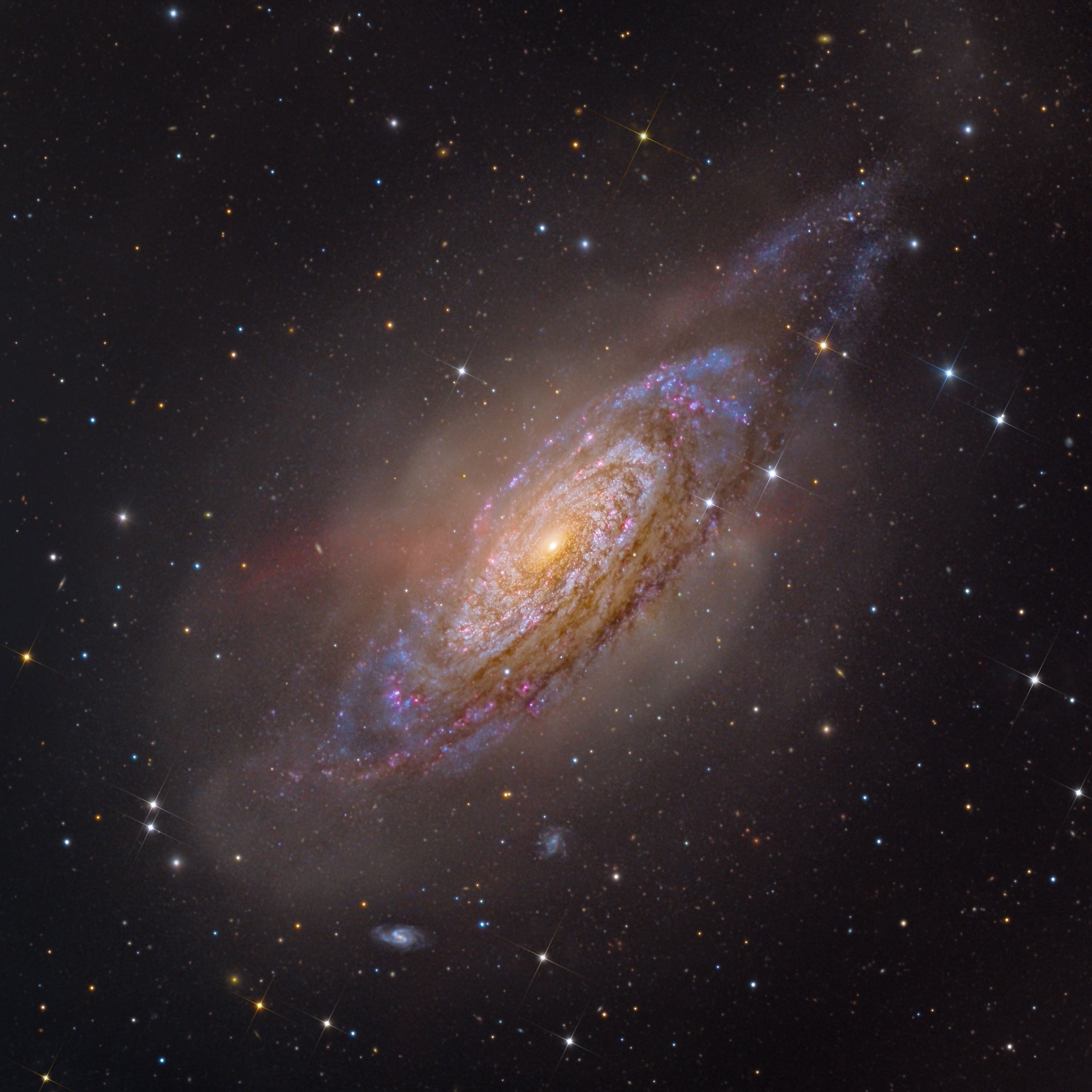  NGC 3521: Galaxy in a Bubble 