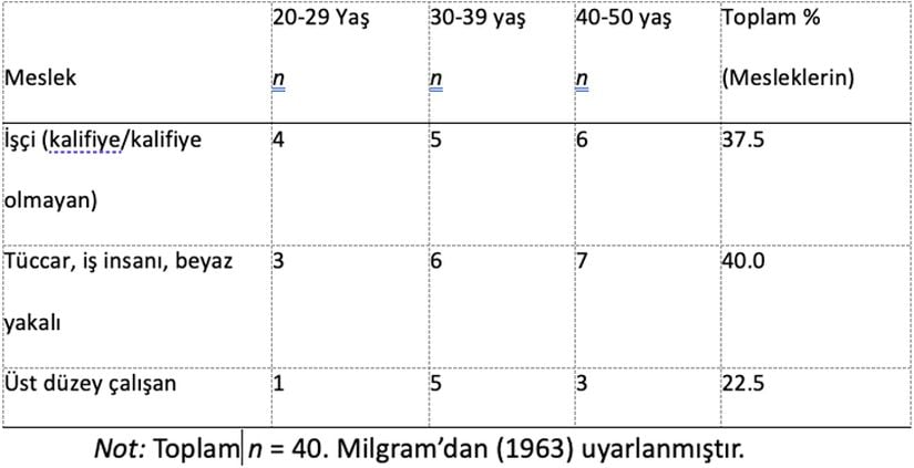 Katılımcıların yaş dağılımı ve meslek tipleri