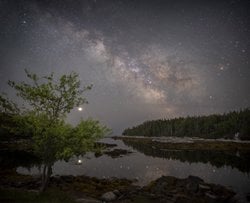 Galaksi, Gezegen ve Elma Ağacı