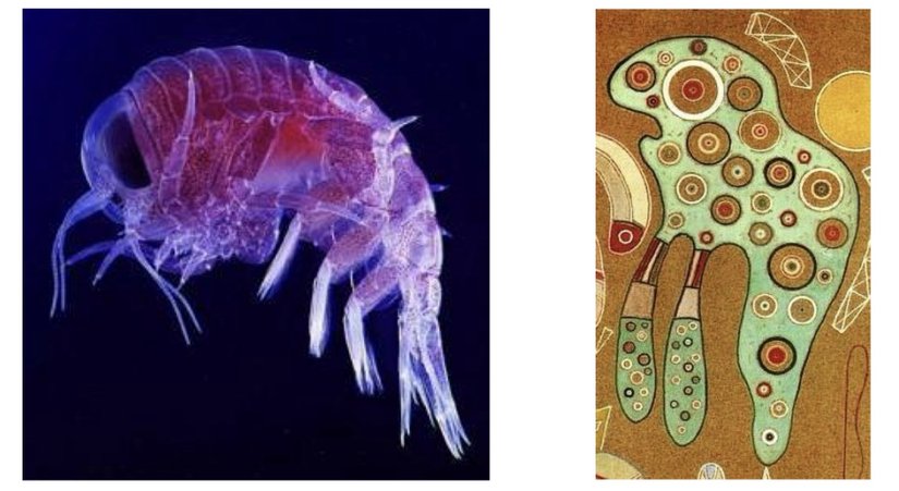 Plankton ve Kandinsky isimsiz eserinden detay