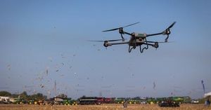 Drones Change The Game For Wolves And Crops