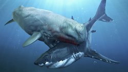 Livyatan (Leviathan) Nedir? Efsanevi Deniz Yaratığı Gerçek mi?