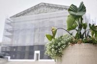 Supreme Court declines to block Mississippi social media age-verification law