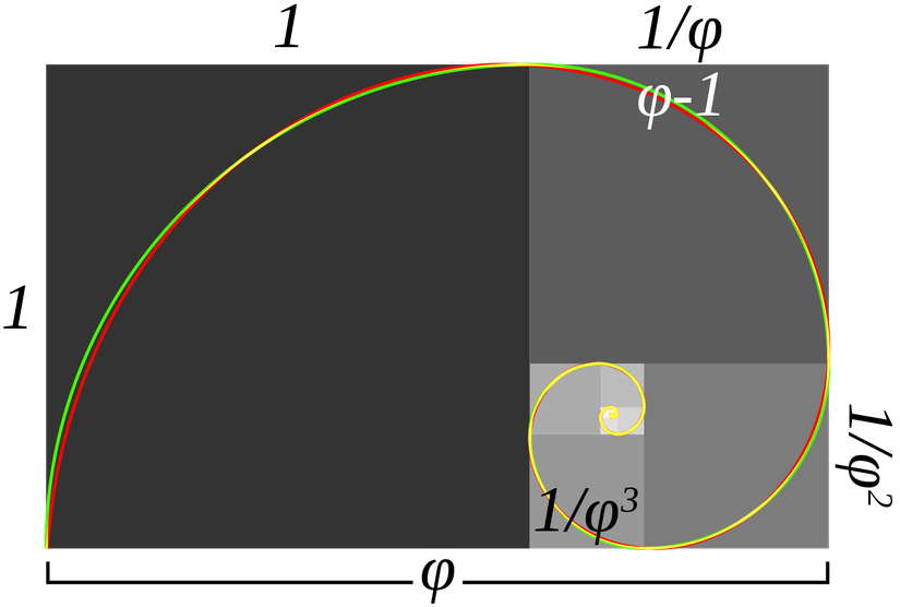 Altın spirali elde etmek için altın dikdörtgeni bölmemiz gerekir.