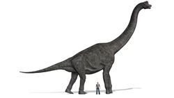 Brachiosaurus Nedir?