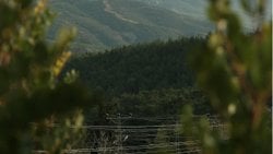 Yapay Zekayı Puanlayalım!