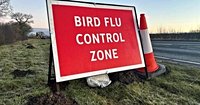 Bird keepers in North Yorkshire warned as avian flu confirmed in three areas