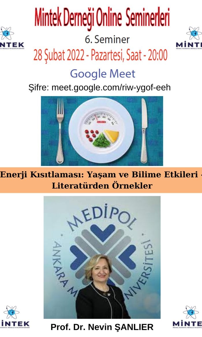 Enerji Kısıtlaması, Yaşam ve Bilime Etkileri – Literatürden Örnekler