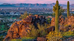 Phoenix Ranked First In Q4 2024 Industrial Market Report