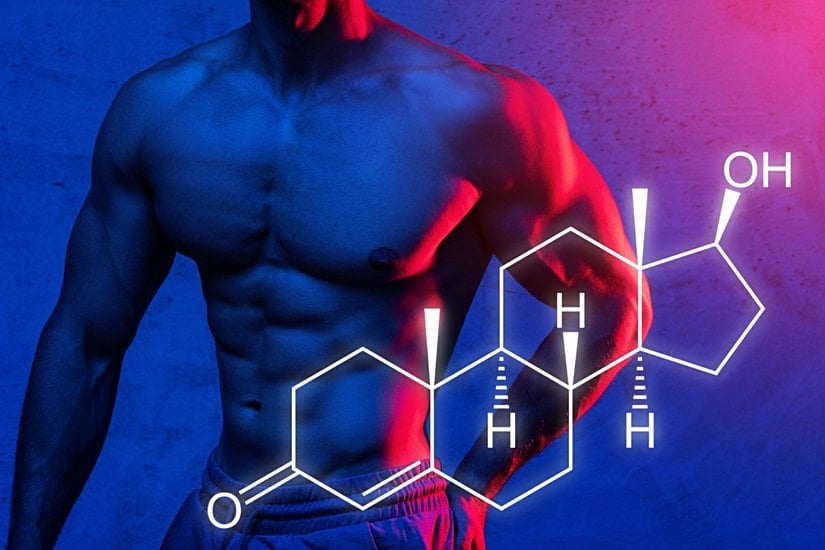 Testosteronun moleküler yapısı ve erkek fenotipik özellikleriyle ilişkisi