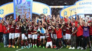 Flamengo Triumphs Over Botafogo To Lead Campeonato Carioca