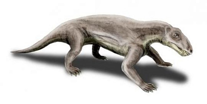 Biarmosuchia