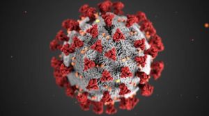 New Coronavirus Strain Found In South Korea Raises Health Alarms