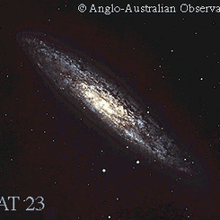 Spiral Galaxy NGC 253 Almost Sideways
Credit: