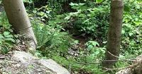 Conservation Project Aims to Improve Water Quality in Lancaster County Streams