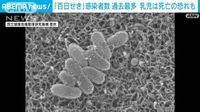 「百日ぜき」1週間の感染者578人で過去最多に　乳児感染で重症化も