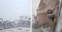 Dust storms, heat, thunder: Burning Man attendees face wild weather