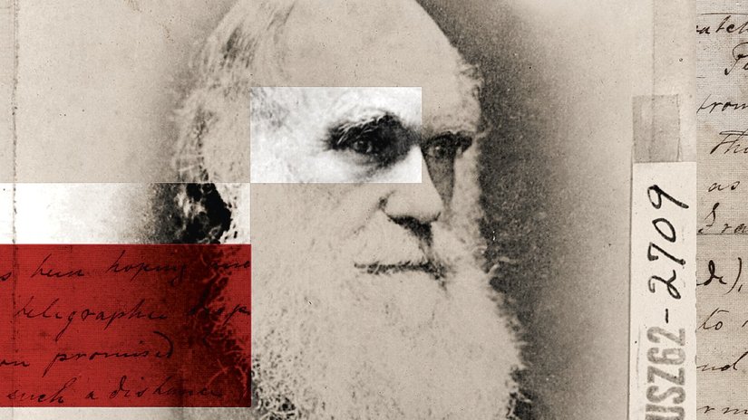 Darwin, Kendi Teorisine Güveniyor muydu? Yoksa Fantezi Peşinde Koştuğuna mı İnanıyordu?