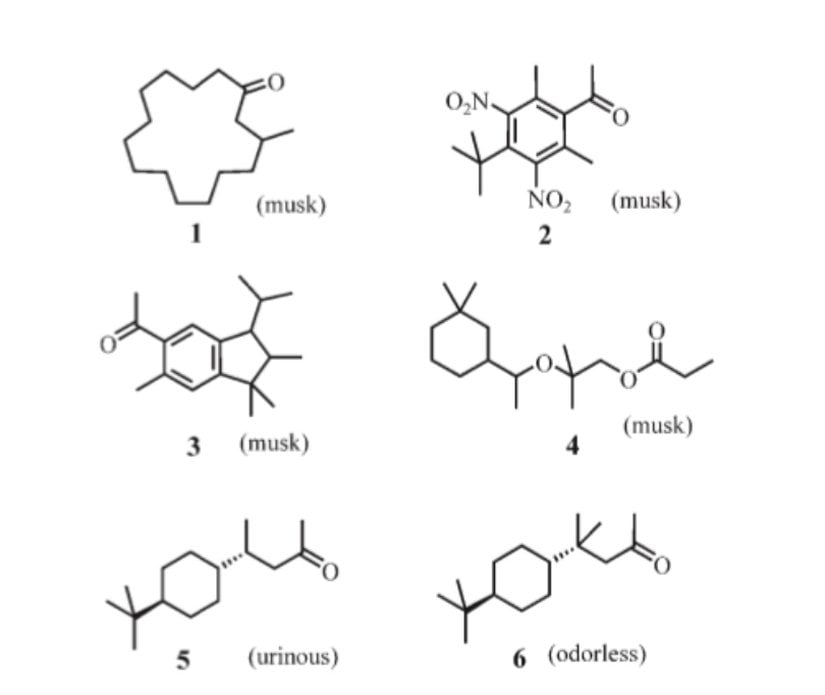 Benzer şekillerdeki koku molekülleri (5, 6) farklı kokarken çok farklı şekillerdeki moleküller (1, 2, 3, 4) benzer kokular veriyor.