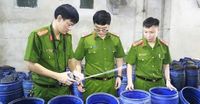 Bên trong xưởng sản xuất 3.500 tấn giá đỗ 'ngậm' hóa chất