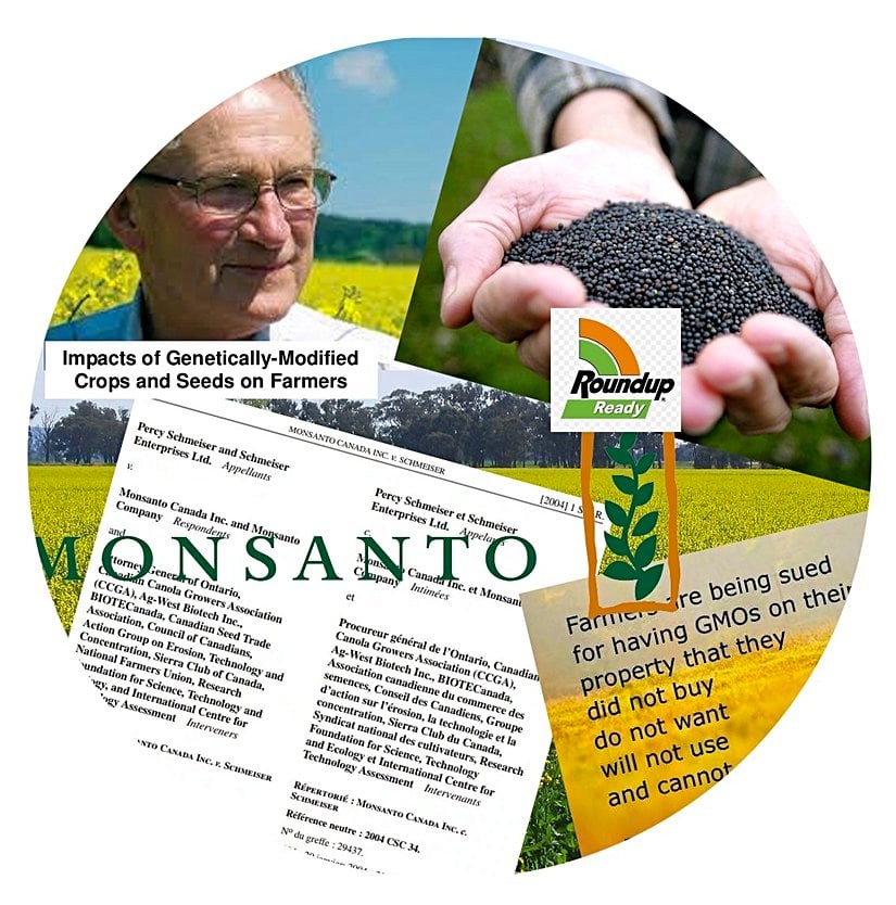 Monsanto vs. Schmeiser