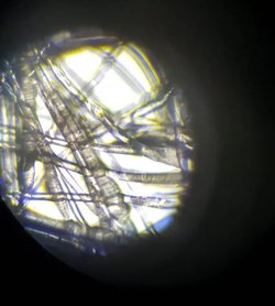 Kullanılmış maskelerde bakteri görülür mü?