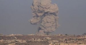 Senators And Activists Demand Urgent Gaza Aid Surge