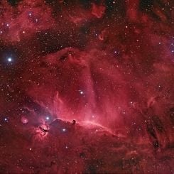 Wisps Surrounding the Horsehead Nebula