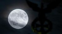 Warum heißt der Vollmond im April eigentlich „Pink Moon“?
