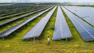 India And Vietnam Forge Paths Toward Renewable Energy Leadership