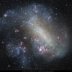  The Large Cloud of Magellan 