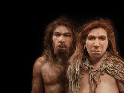 Neandertal atalarımız kimdir?