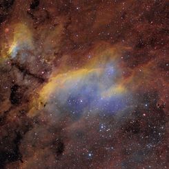 IC 4628: The Prawn Nebula