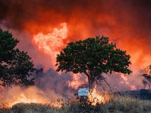 Wildfires Ravage Spain And Portugal In Record Summer