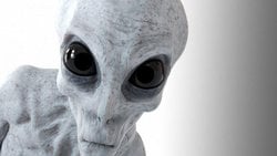 Sizce uzaylı diye bahsettiğimiz varlıklar gerçek mi?